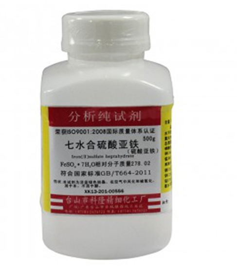 午夜福利体验区